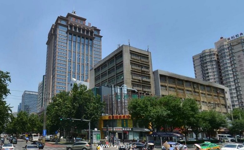 阳明国际